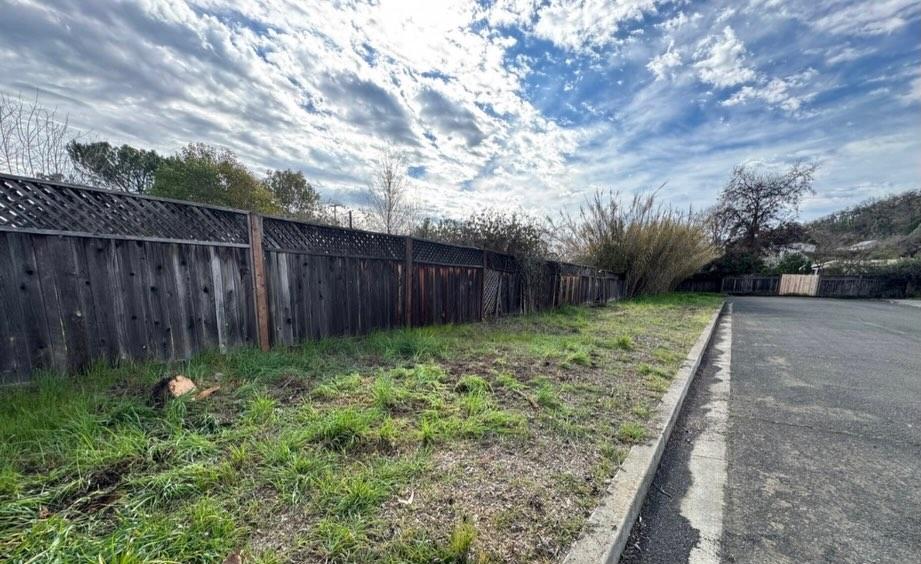 After: cleared and tidy yard